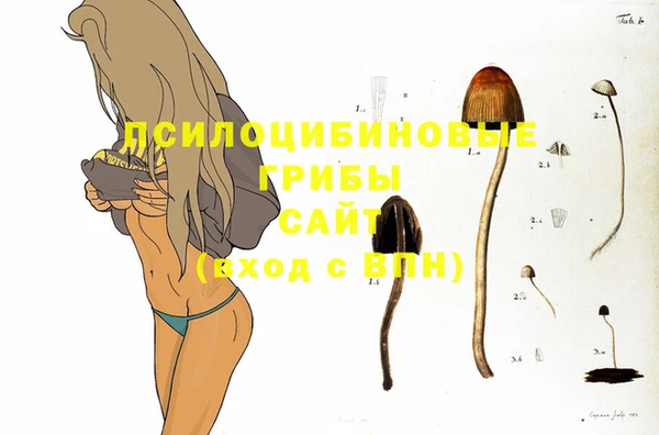 стафф Вяземский